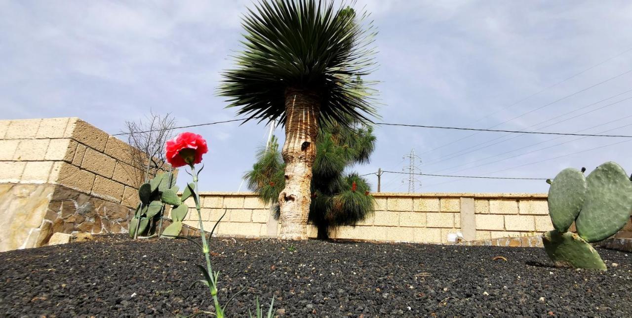 Casa Del Sur, En El Sur De Tenerife Villa กรานาดิลญา เด อาโบนา ภายนอก รูปภาพ