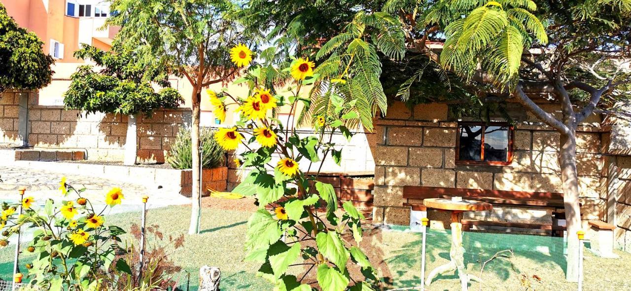 Casa Del Sur, En El Sur De Tenerife Villa กรานาดิลญา เด อาโบนา ภายนอก รูปภาพ